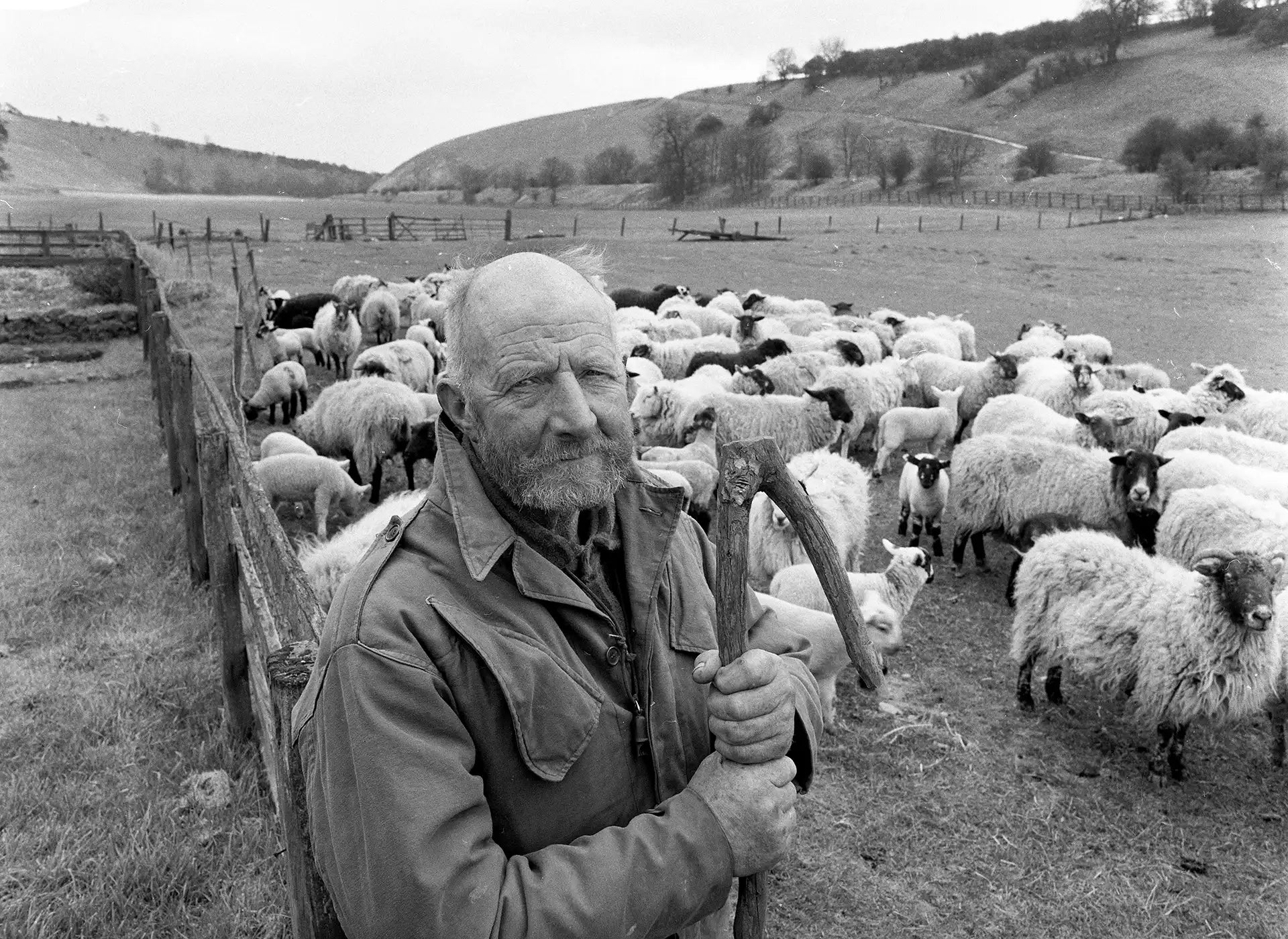 The Rich History of Holme Valley Wool in Yorkshire